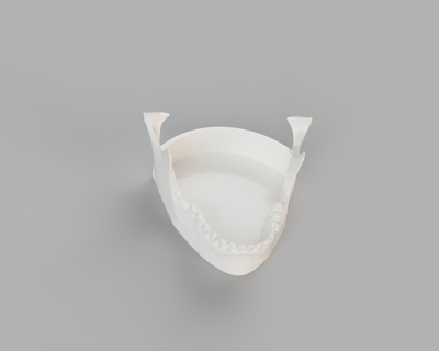 mandíbula hueso condenar caja llave anillo llaves monedas cambio plato humano juguete Arte 3d print model - Mito3D