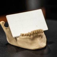 mascella attività commerciale carta titolare supporto gadget 3d print model - Mito3D