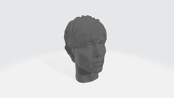 Jay chou baş 3d Yazdır model büst Vesika Mads heykel karakter erkek insan Sanat heykeller orta 3d print model - Mito3D