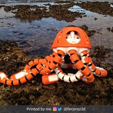 jell-e medusa scout jeu le robot des tentacules les méduses animal 3d print model - Mito3D