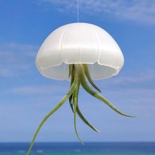 jellyfish air plant holder home outdoor garden sea planter hanging fun cute airplants 3d print model - Mito3D