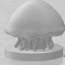 Deniz anası Yugioh zindan zar canavarlar oyun ddm 3d print model - Mito3D