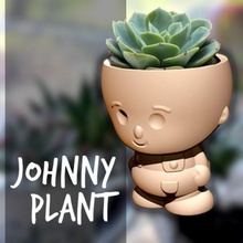jhonny plant - flower pot flowerpot robert johnny succulent garden home house art ornament 3d print model - Mito3D