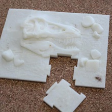 jigsaw paleontology 12 pieces game puzzle trex 3d print model - Mito3D