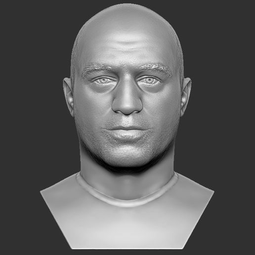 joe rogan fracasso 3d impressão arte experiência rebarba comediante celebridade famoso MMA ufc Jon Jones adesanya tv hospedeiro dana branco 3D print model - Mito3D