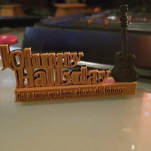johnny hallyday divers 3d print model - Mito3D