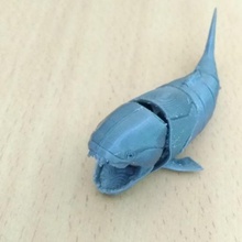 jointed dunkleosteus game toy accessories fossil flexible fish devonian 3d print model - Mito3D