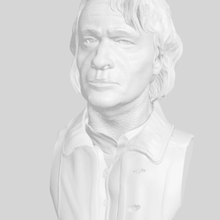 joker busto art arthur fleck il 3d print model - Mito3D