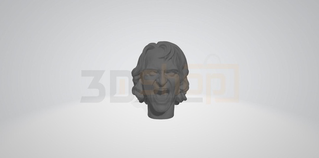 bufón miniatur cabeza 3d impresión Joaquín fénix gladiador señales Arte batman comienzo troya 3d print model - Mito3D