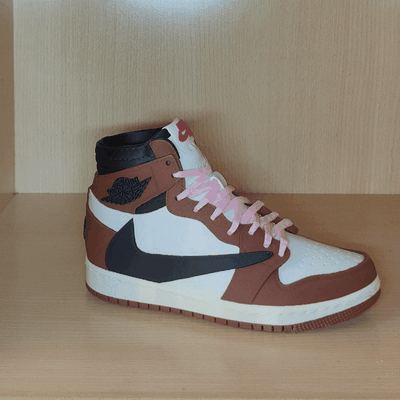 jordan 1 high travis scott mocha pot holder ikea hi cactus jack aj1 astroworld utopia fejka fake plant artificial sneaker 3d print model - Mito3D