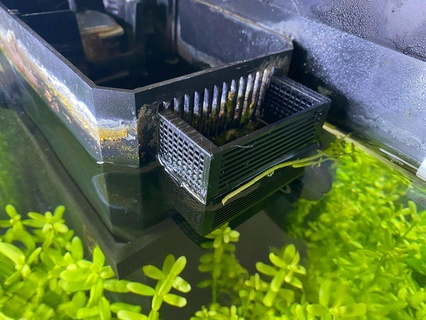 juwel BioFlow Gitter Gitter Zuhause Haus Aquarium juwel BioFlow Fisch Garnele sparen Sicherheit 3d print model - Mito3D