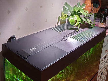 Juwel Rio 125 modulaire couvercle aquarium poisson animal plante 3d print model - Mito3D