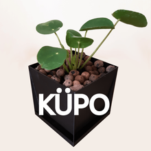 k po - cubic planter integrated saucer home plant cube platonic solids garden botanic kupo pot 3d print model - Mito3D