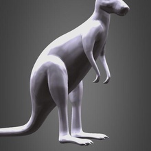 kangourou 3d print model - Mito3D