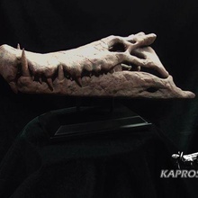 kaprosuchus skull animals dinosaur museum fossil crocodile prehistoric 3d print model - Mito3D