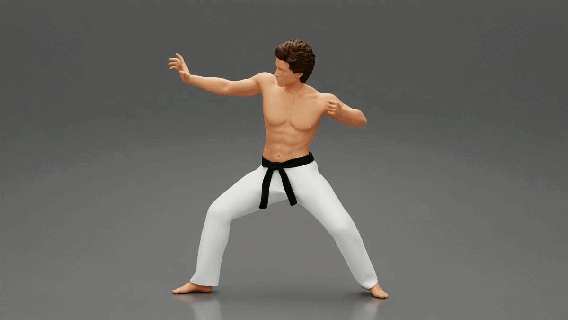 karate man black belt 164scale 164scalediecast 164photography diorama164scale body character human sculpture decor diorama figure people print boy male combat 3d print model - Mito3D