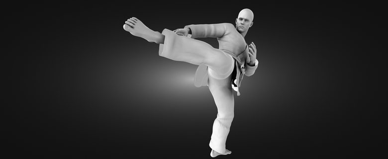karate adam Sanat oyun anime karakter şahsiyet Kadın ev hediye oyuncak Japonya video oyunu Çin heykelcik Toplamak iş meslek işçi spor 3d print model - Mito3D