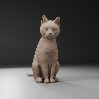 kat hayvan 3d print model - Mito3D