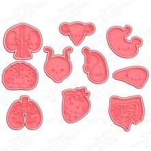 kawaii organs cookie cutter set 10 stamp cookies cook home cithen cutters medicine kidney liver lungs heart science 3d print model - Mito3D