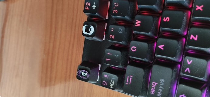 klavye tuşu ibai koi seğirme tuş takımı 3d print model - Mito3D