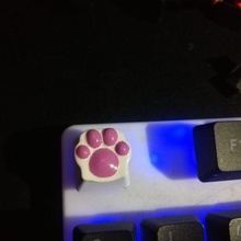 keycap kitty cat paw game kat keyboard mechanical 3d print model - Mito3D