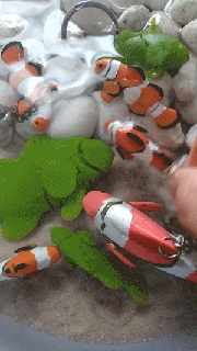 llavero pez nemo barco mar animal cadena primavera traqueteo divertido gracioso juguetes niños vehiculos mueble herramientas decorativo tecla teclado 3d print model - Mito3D