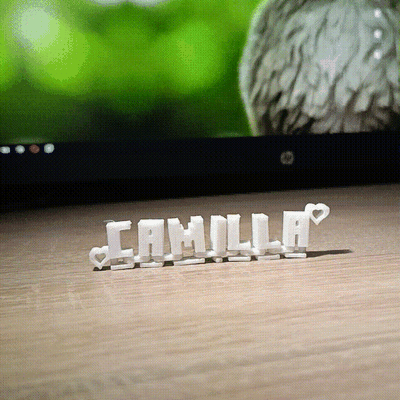 porte clés camilla bijoux bibelot babiole hochet jouet chaîne pendentif cadeau minecraft l'amour cœur 3d print model - Mito3D