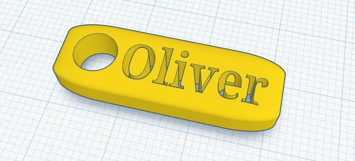 chaveiro Oliver Diversão anel 3d print model - Mito3D