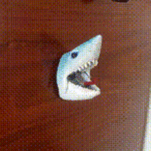 clé voûte requin clés mer animal océan 3d print model - Mito3D
