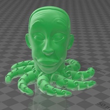 khabylamectopus gadget giocattolo agitarsi polpo khaby noioso arte 3d print model - Mito3D