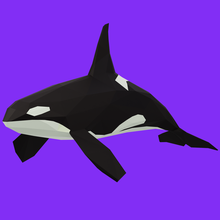 killer-whale lowpoly 3d print model 3d print model - Mito3D