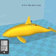 Schwertwal orca killer Wal orque Tiere 3d print model - Mito3D