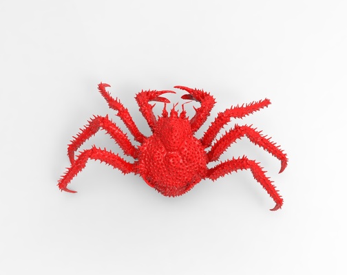 roi crabe agressif halobios animal royal délicieux fruit mer 3d print model - Mito3D