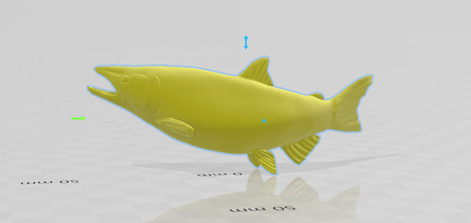 king salmon mount diy teeth Art fish replica mold fisherman fishing taxidermy fly body 3d print model - Mito3D