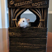 kissing booth home pets rat mice house hamster gerbil animal 3d print model - Mito3D