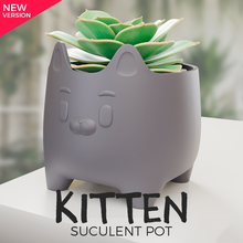chaton pot 3d impression 3d print model - Mito3D