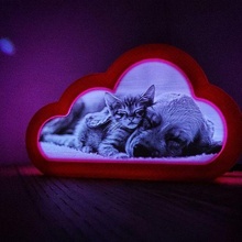 kitten puppy lithophane cloudy night light 3d print model - Mito3D