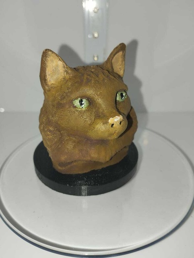 yavru kedi hayvan gözler büst 3d print model - Mito3D