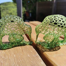 kiwi a arte esculturas de voronoi resina nova zelândia dlp 3d print model - Mito3D