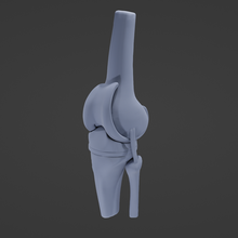 knee replacement 3d print model - Mito3D