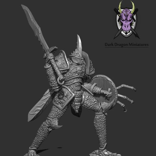 cavaliere scarabeo miniatura dnd warhammer regno Morte esploratore mini gioco dungeon draghi rpg 3D print model - Mito3D