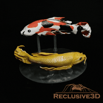 koi pesce diorama arte statura figura figurina decorazione arredamento 3d print model - Mito3D