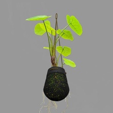 kokedama tencere 010d Bahçe dış mekan kapalı bitki moda modern ekici kendin yap kübik bahçe tasarım dekorasyon Sanat 3d print model - Mito3D