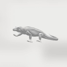 drago di komodo gioco animali giocattolo lucertola dinosauro Scansione 3d 3d print model - Mito3D