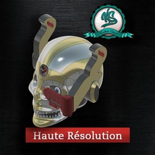 krane e crâne art le post-apocalypse de la décoration steampunk 3d print model - Mito3D