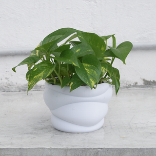 laba - vase mode planter planter pot vase vase mode  3d print model - Mito3D