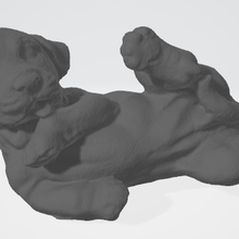 Labrador perro 3d print model - Mito3D