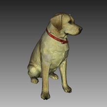 labrador scultura cane statua di colore scansione 3d art Scansione animale artec replica la scansioni repliche 3d print model - Mito3D