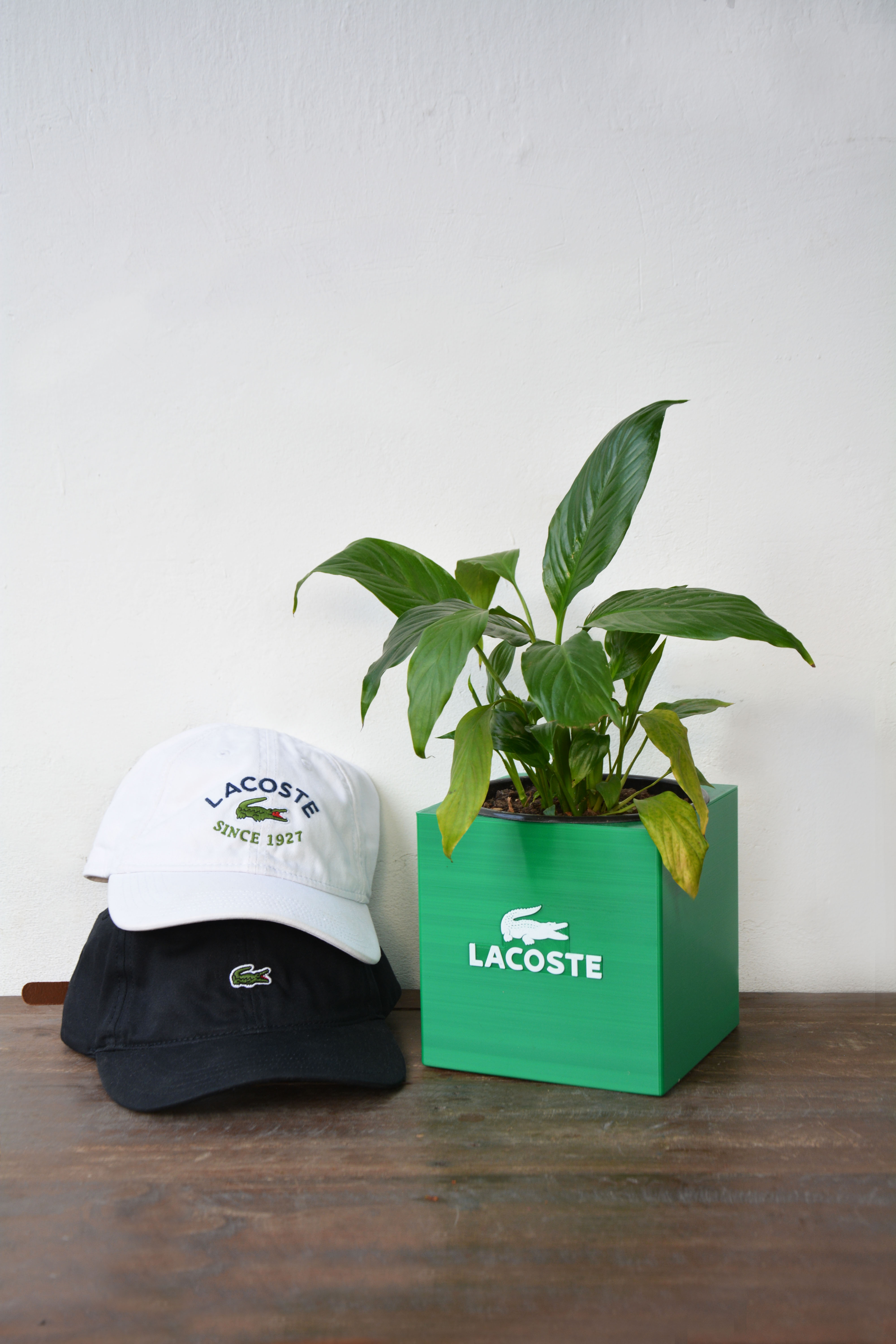 lacoste Box Topf bruce3d Zuhause Haus Hype Turnschuhe Jordanien jordan1 adidas Nike Blumentopf Deko 3D print model - Mito3D