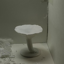 lactarius sp mushroom 1 various diorama science replica nature mushroom lactarius 3d print model - Mito3D